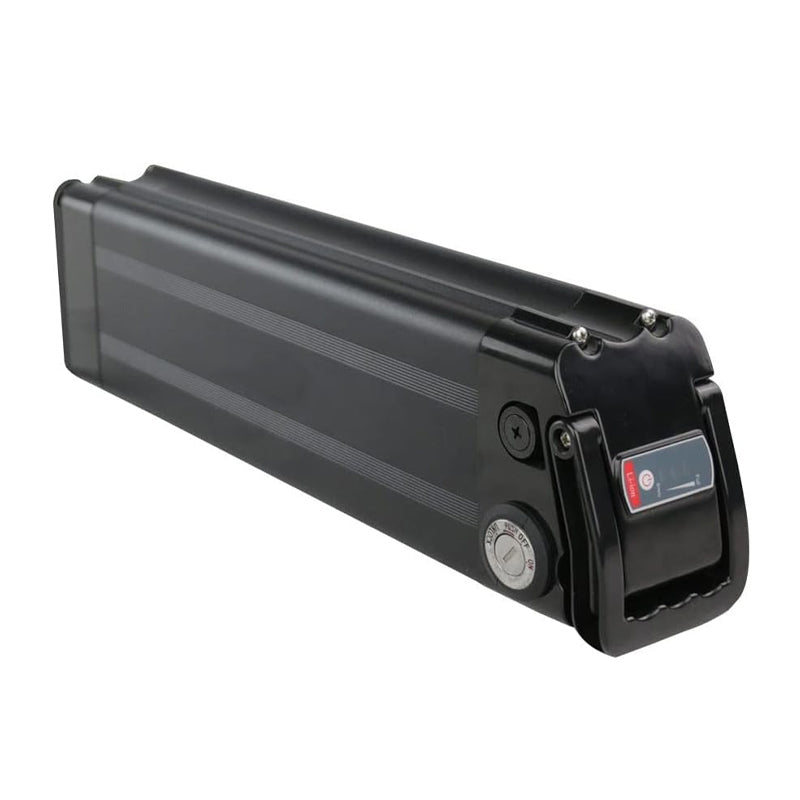 Batteria bici elettrica