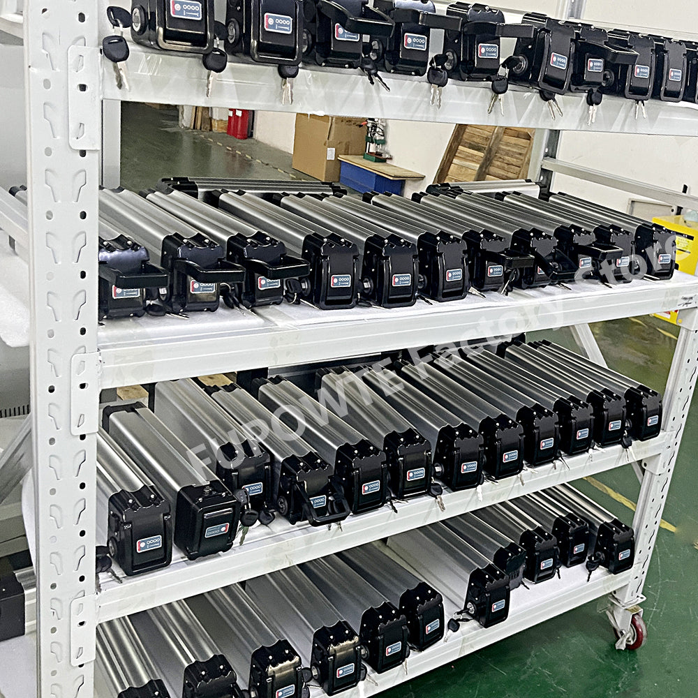 Batteria bici elettrica